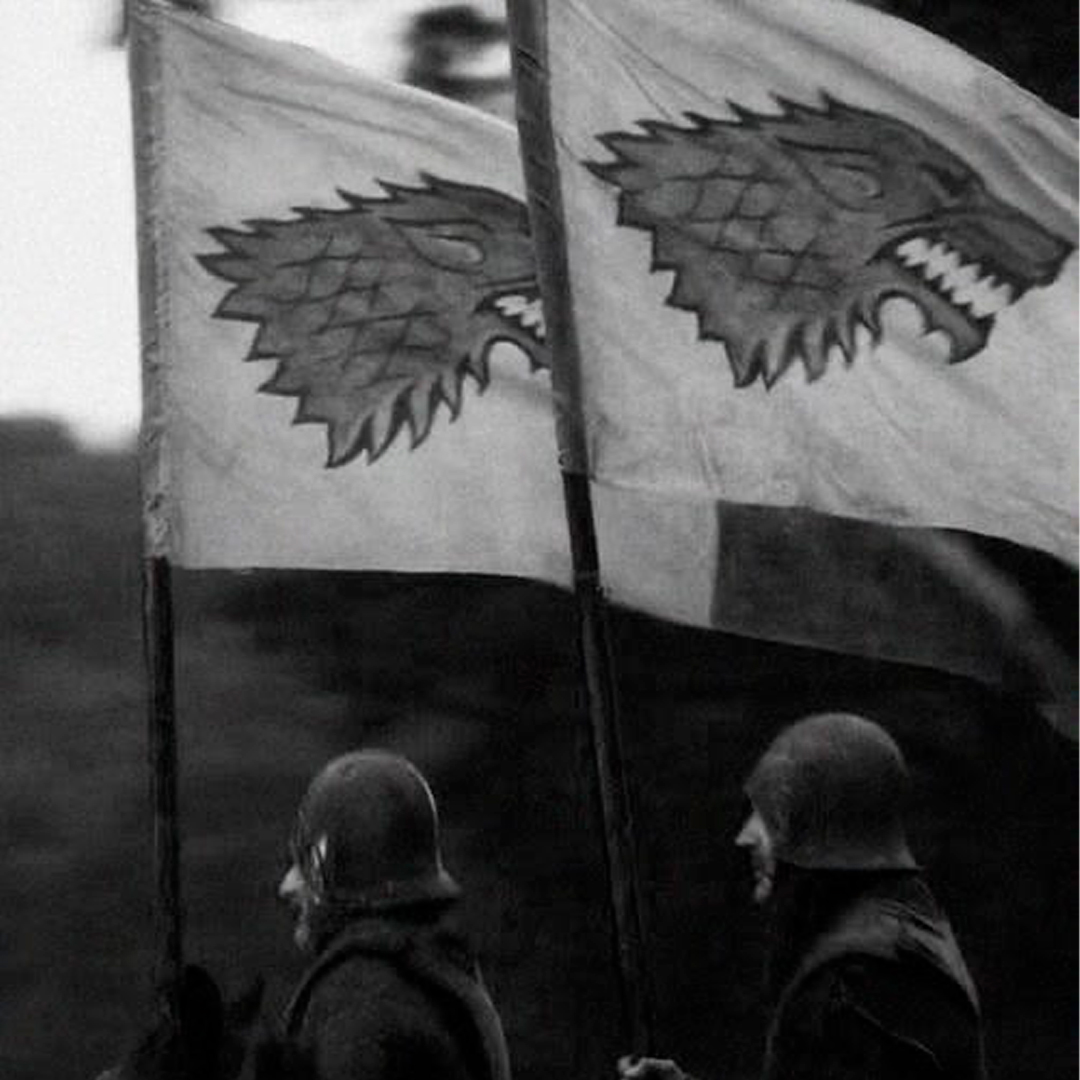 CASA STARK (GOT) NECKLACE - Imagen 2